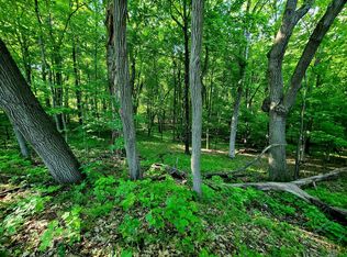 125 Alabama St, Saint Croix Falls, WI 54024