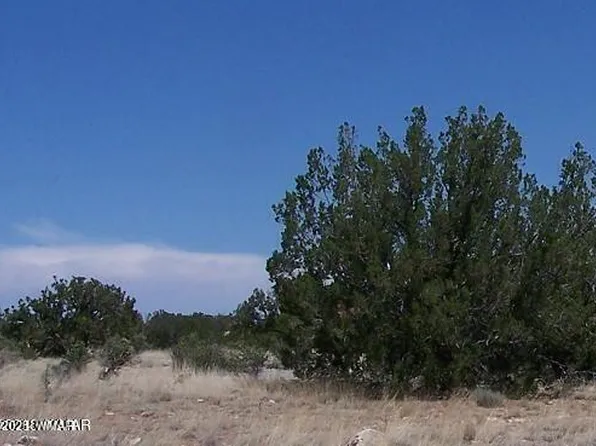 Sec 13 T14n R16e #Nw4-se4-e2, Heber, AZ 85928