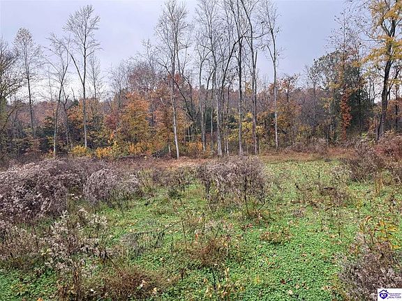 4th image of TRACT 7 Cook Ln