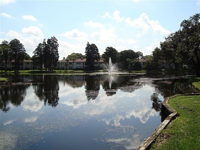 1st image of 10348 Carrollwood Ln APT 183