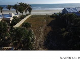 4503 Van Kleeck Dr, New Smyrna Beach, FL 32169