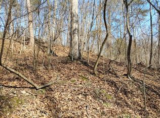 0 Braswell Rd, Rockmart, GA 30153