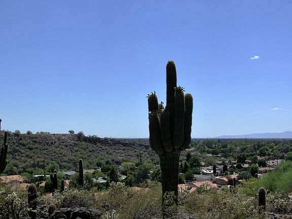 Hillside Lot