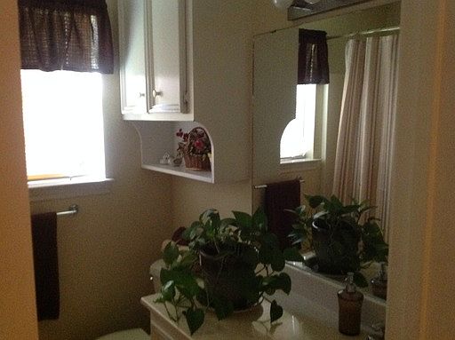 3rd image of 903 Camellia Ct APT A