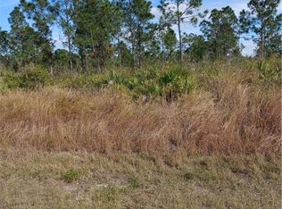 314 Moore Ave, Lehigh Acres, FL 33936