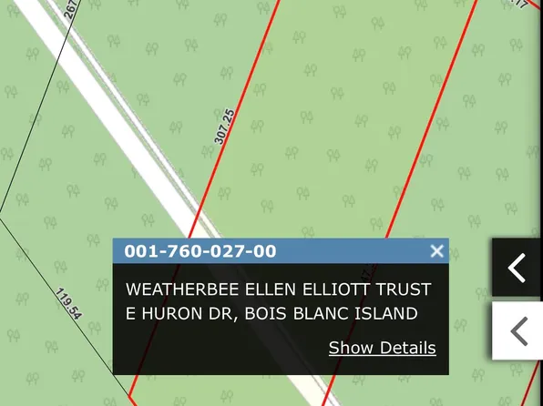 26 Huron Dr, Pointe Aux Pins, MI 49775