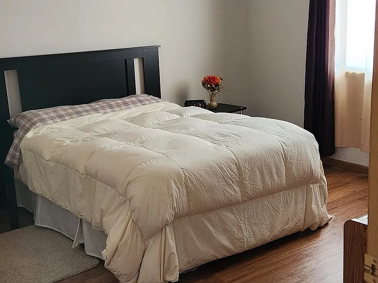 4619 Twain St #1 — Photo 4