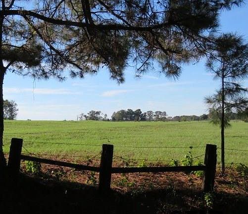 3rd image of 280 County Road 4712 Lot 6