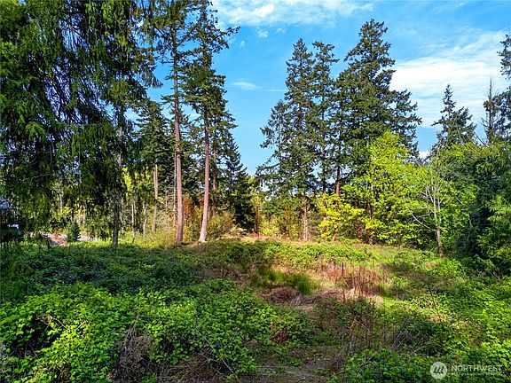 2nd image of 11927 Madrona Ridge Place