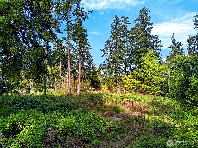 2nd image of 11927 Madrona Ridge Place
