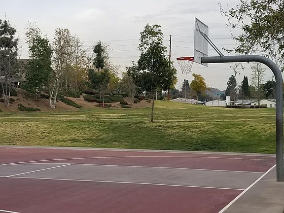 Basketball court