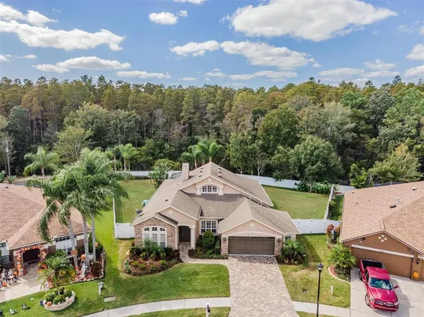 16410 Nikki Ln, Odessa, FL 33556
