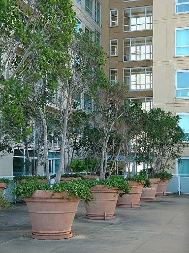 Terrace on 2nd Floor
