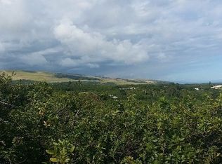 94 6450th #1, Naalehu, HI 96772