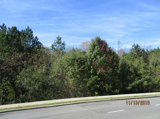 LOT 1 Haigmill Lake Rd, Dalton, GA 30720