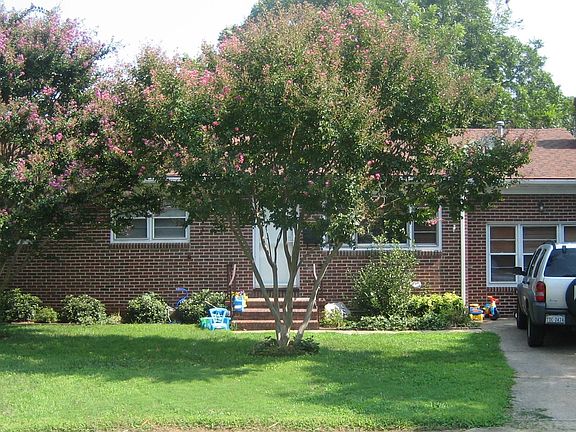 Summer with flowering trees