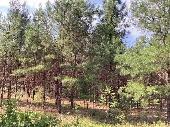725 County Road 364, Elba, AL 36323