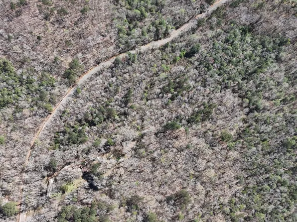 Pace Rd, Hamilton, MS 39746