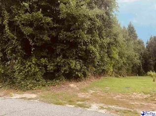 300 E Rico Dr, Florence, SC 29505