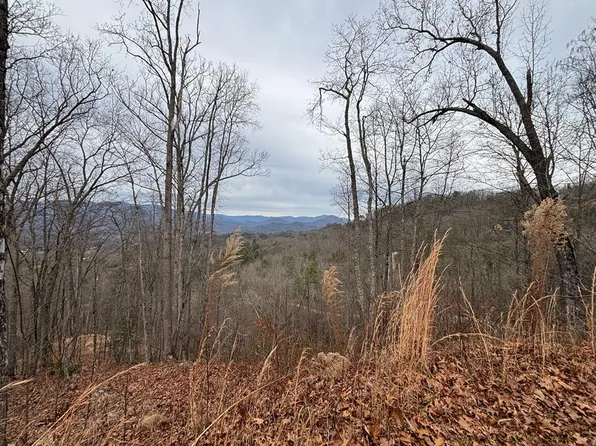 999 Breedlove Rd, Bryson City, NC 28713