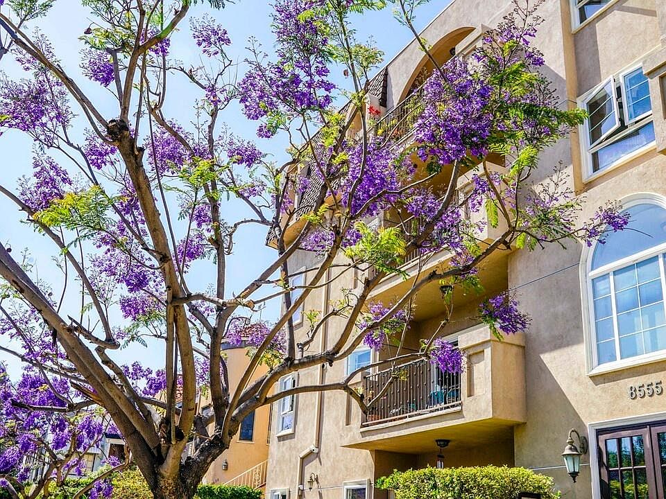 1st image of 8555 Cashio St APT 205