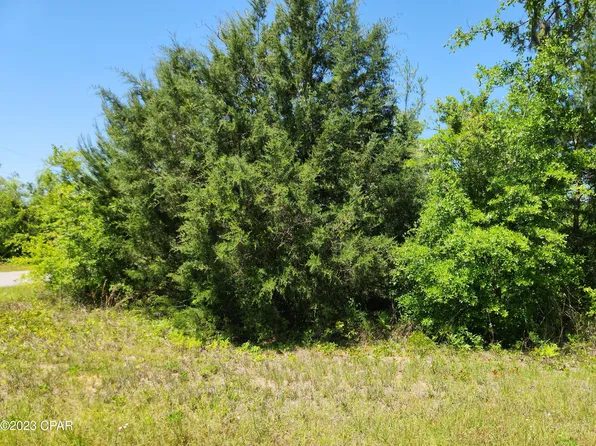 Lake McKenzie Blvd NW, Altha, FL 32421