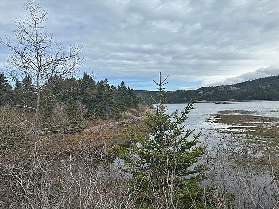 5th image of 12-16 Back Cove Road