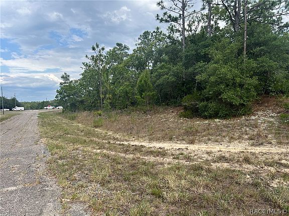 4th image of 6897 N Lime Dr