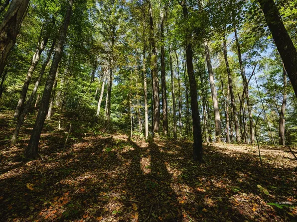 0 Little Kyger Rd, Cheshire, OH 45620