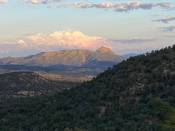 14 Cowboy Dr, Pie Town, NM 87827