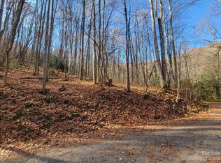 23 Forbidden Cv #23, Waynesville, NC 28785