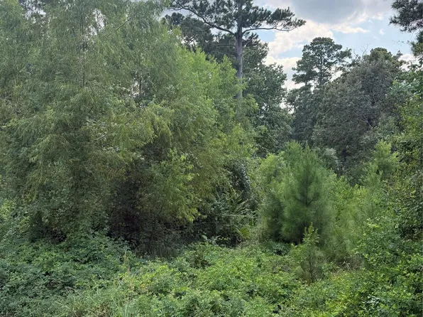 0 Warbonnet, Huntsville, TX 77320