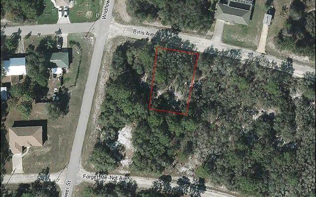 2nd image of 3154 Biris Ave