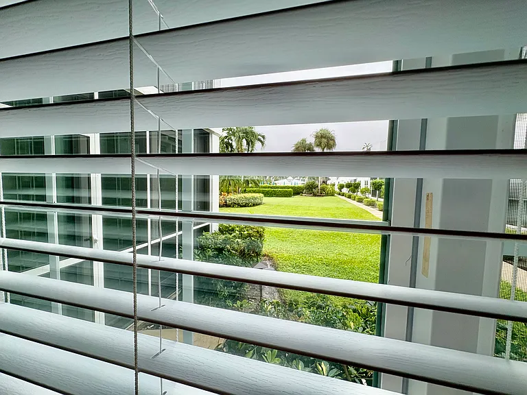 View from dining room to courtyard and pool area