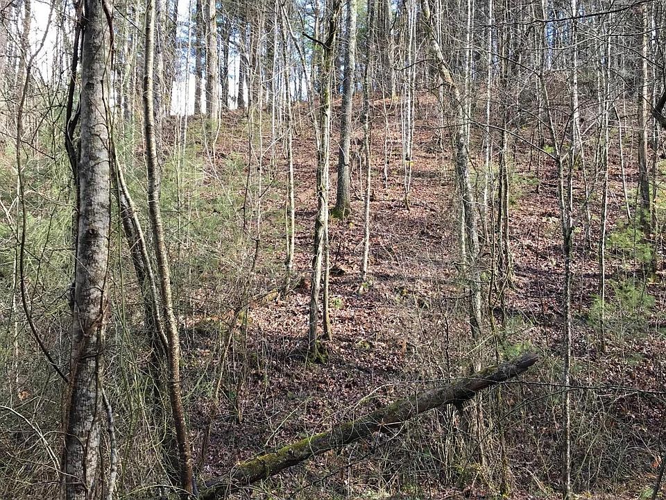 137 High Top Rd, Reliance, TN 37369 Zillow