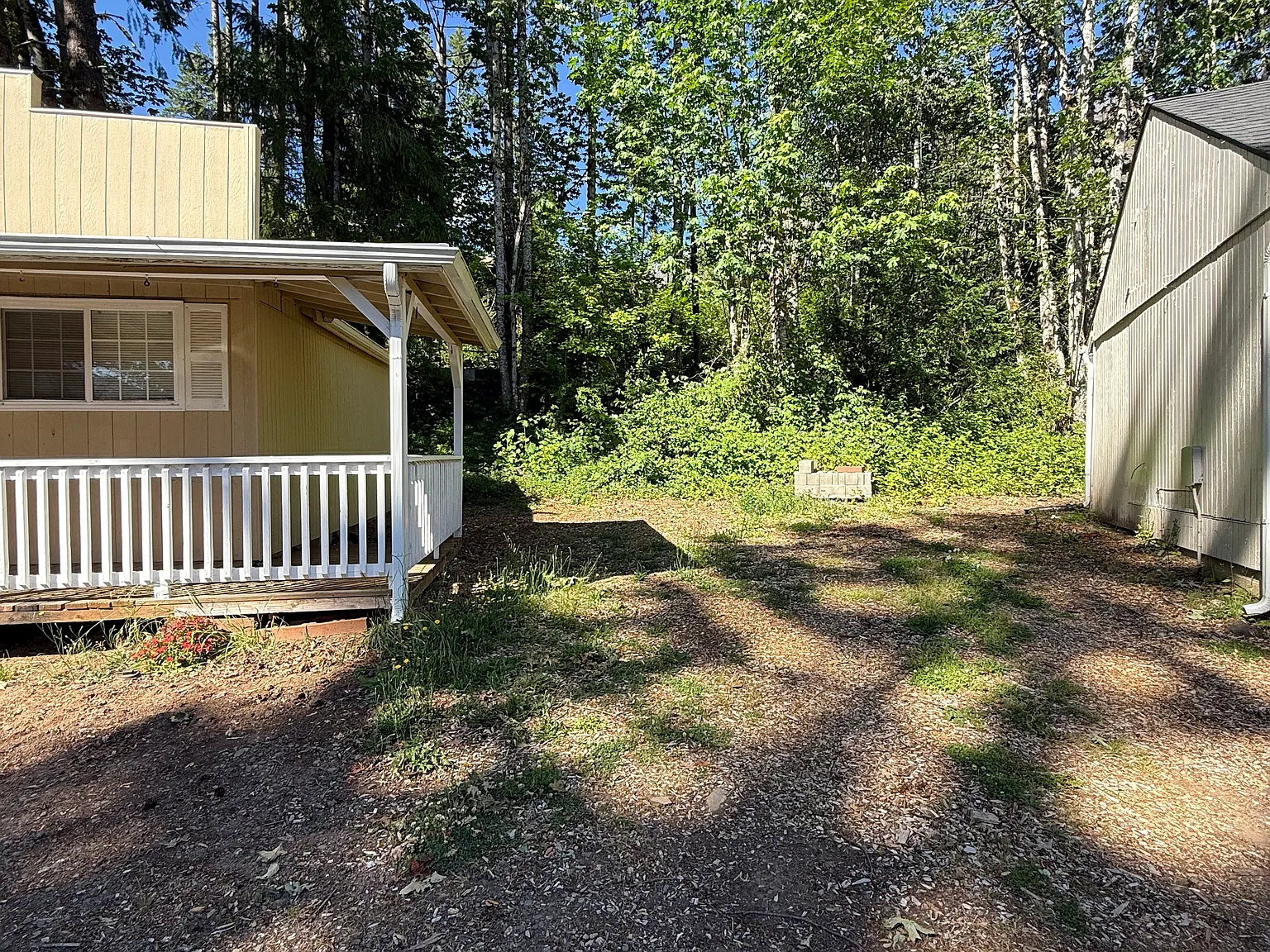 Studio, $495 — Photo 2