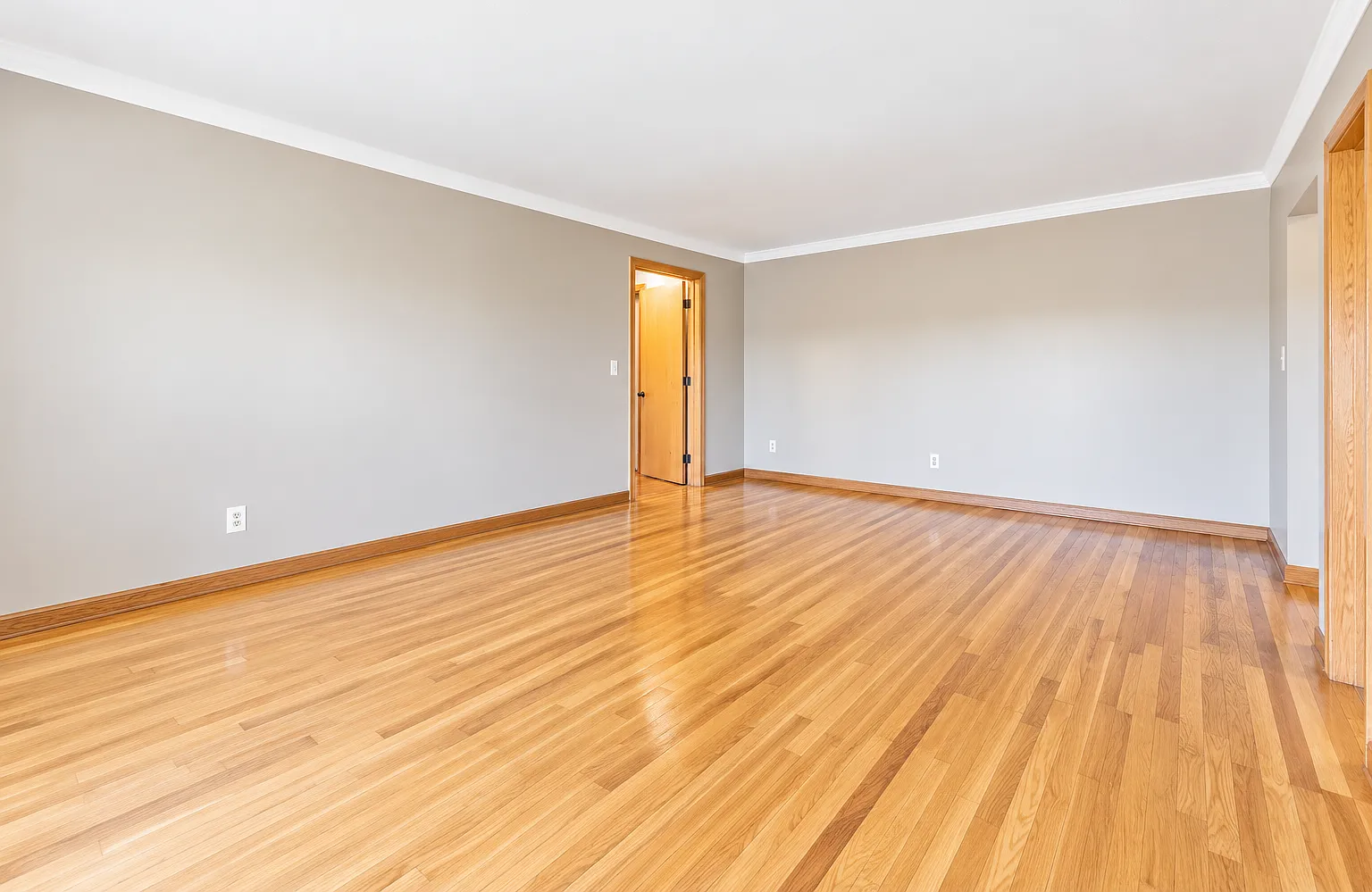 1 bed, $1,049 — Photo 4