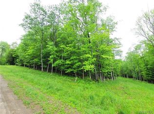 0 County Road 24 #LOT, Swain, NY 14884