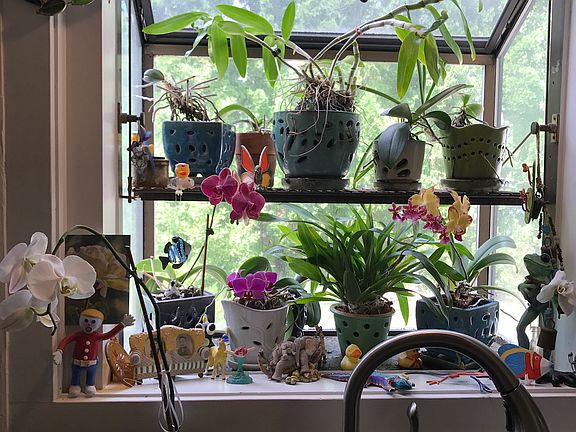 Kitchen greenhouse window 