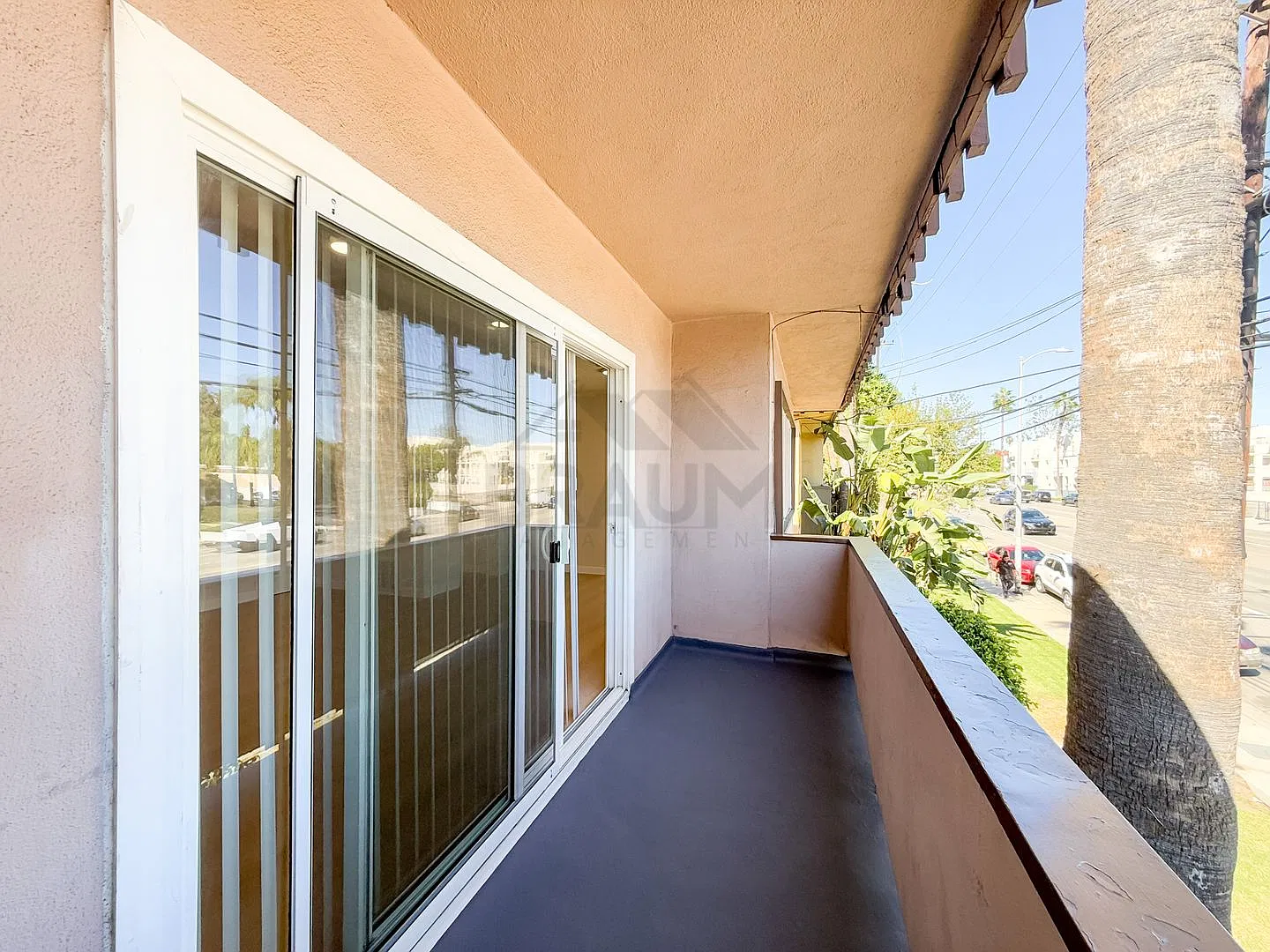 SEPULVEDA — Photo 4