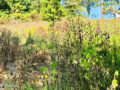Cherokee Cir, Tazewell, TN, 37879