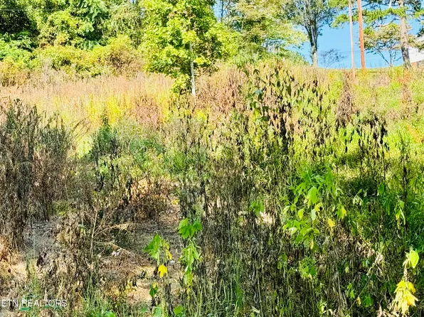 Cherokee Cir, Tazewell, TN 37879