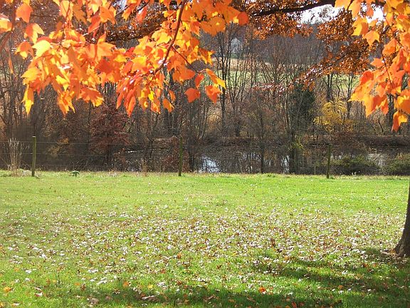 Pond Rear of Property