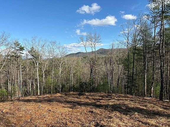 3rd image of LOT 86 Lookout Trl