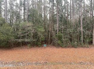 203 Augusta Ct, Havelock, NC 28532