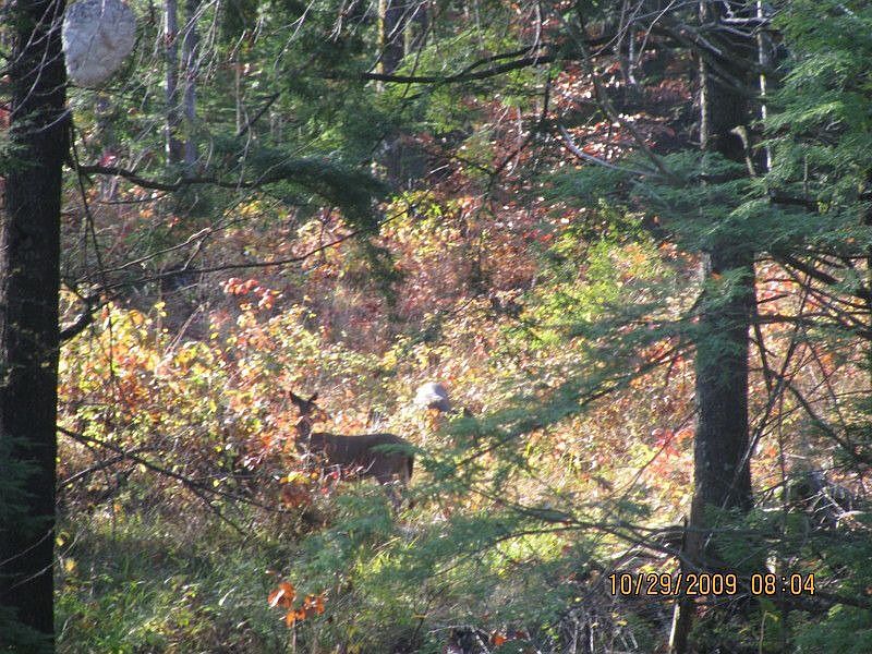 2nd image of 8 Creekwater Ln