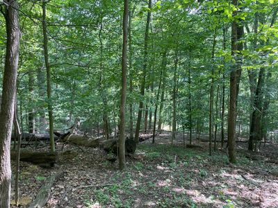 0 Bearclaw Ct SE, Sugar Grove, OH, 43155