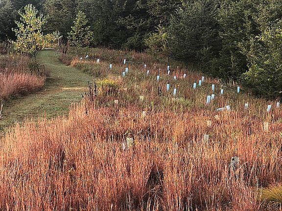 5th image of 630 County Road 28