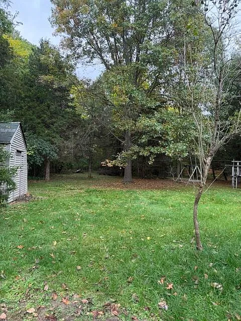 3 bed, 2.0 bath, 1644 sqft, $2,100 — Photo 4