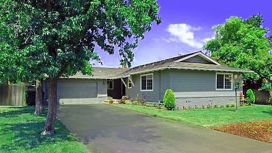 Large Lanscaped front yard